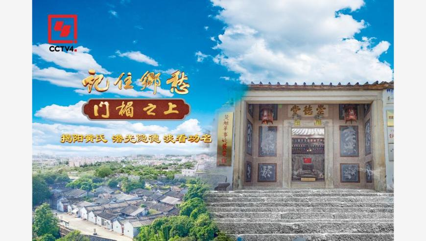 仙台有树还挺有意思,2025年旧澳门今晚开奖号码,最新核心解答落实_精英版V7.56