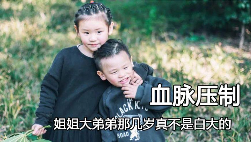 哪吒2票房破75亿,澳门跑狗图正版资料查询2025,全面解答解释落实_精英版V10.33