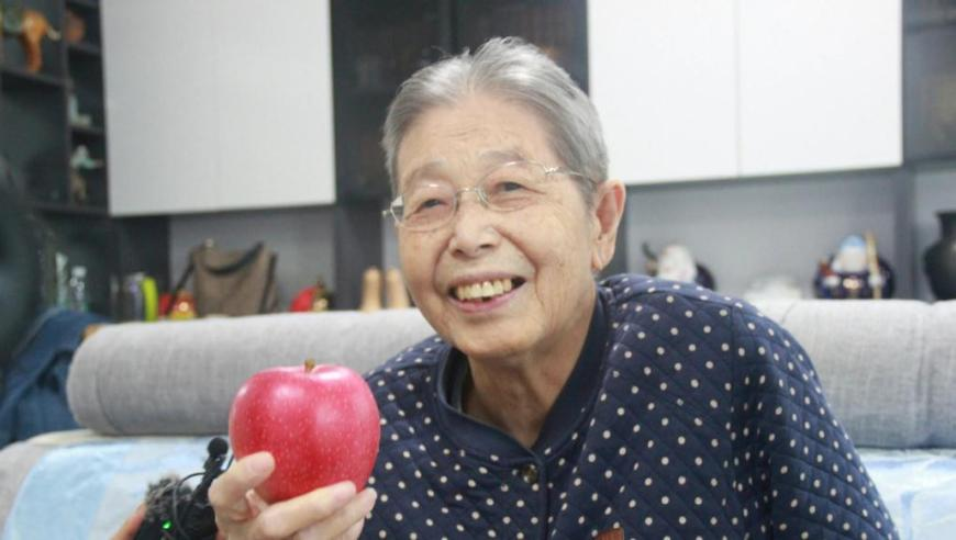 瑞士一私人飞机坠毁3人受伤,彩二四六开奖免费大全,决策资料解释落实_黄金版V12.86
