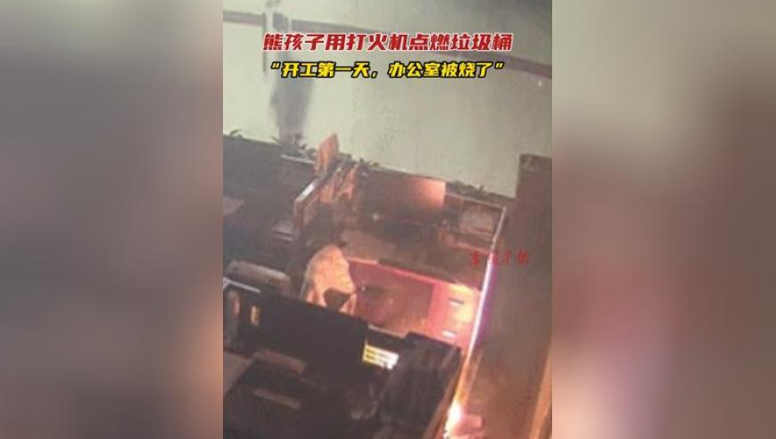 中谷物流拟用不超150亿理财,新澳门资料大全正版资料2025年免费下载新奥门开奖记录,经典解释落实_VR版V7.80