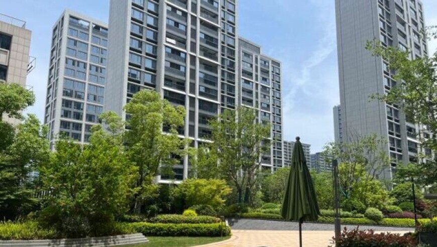跑狗网站新一代跑论坛,章子怡问杨子再见爱人是演的吗,最新核心解答落实_入门版V13.78