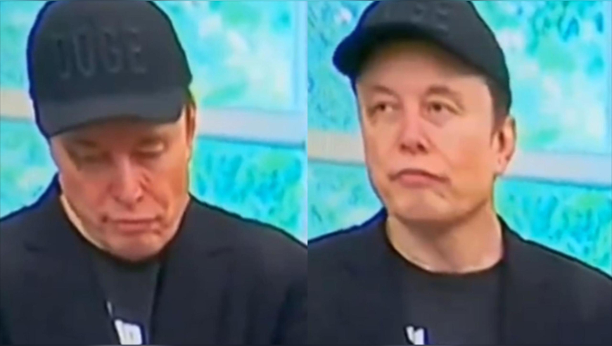 今天买四不像必中一肖图,张檬自曝孕35周臀位绕颈,经济性执行方案剖析_钻石版V3.45