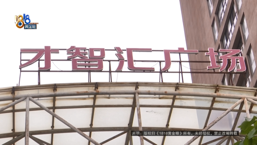 气血不足不建议不吃主食,2025香港正版资料大全,收益成语分析落实_钱包版V5.65